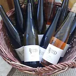 Apartment In Spay Bigone Zell-merl Mosel *