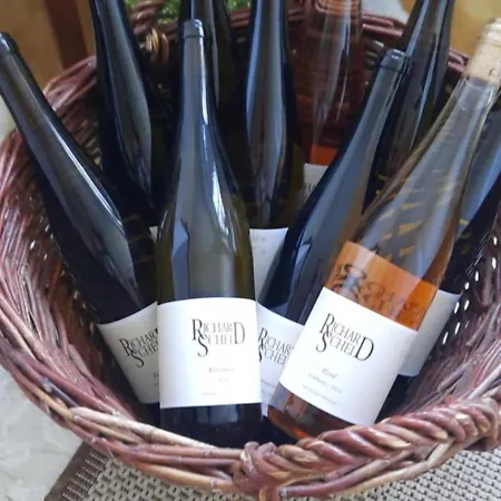 Apartment In Spay Bigone Zell-merl Mosel *