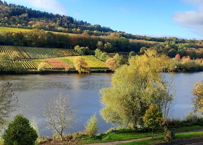 In Spay Bigone Zell-merl Mosel Appartement