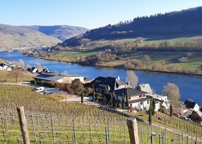 In Spay Bigone Zell-merl Mosel Appartement