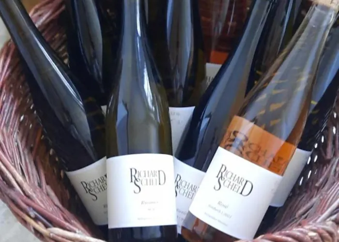 Appartement In Spay Bigone Zell-merl Mosel *